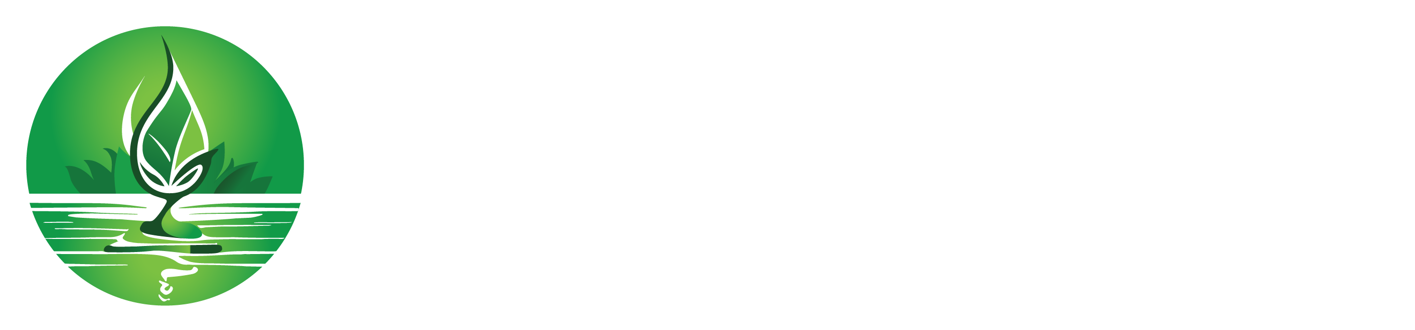 Going Green NRG Co